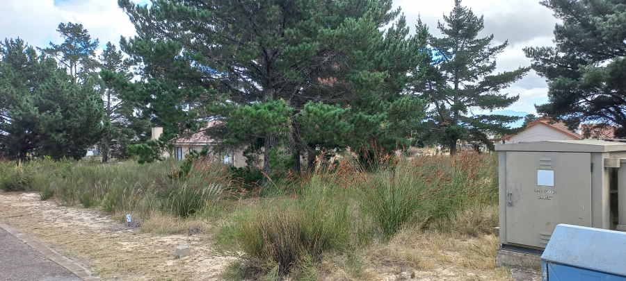 0 Bedroom Property for Sale in Albertinia Western Cape